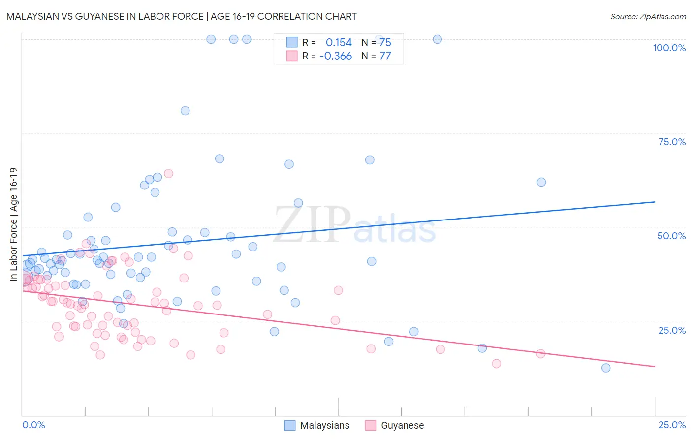 Malaysian vs Guyanese In Labor Force | Age 16-19