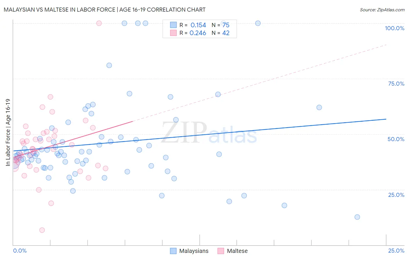 Malaysian vs Maltese In Labor Force | Age 16-19