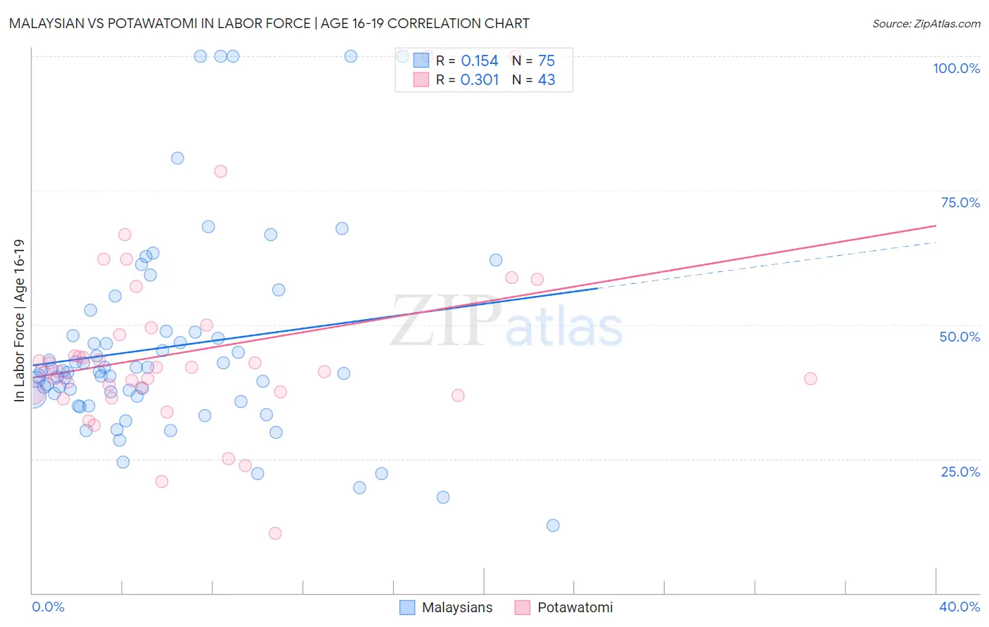 Malaysian vs Potawatomi In Labor Force | Age 16-19