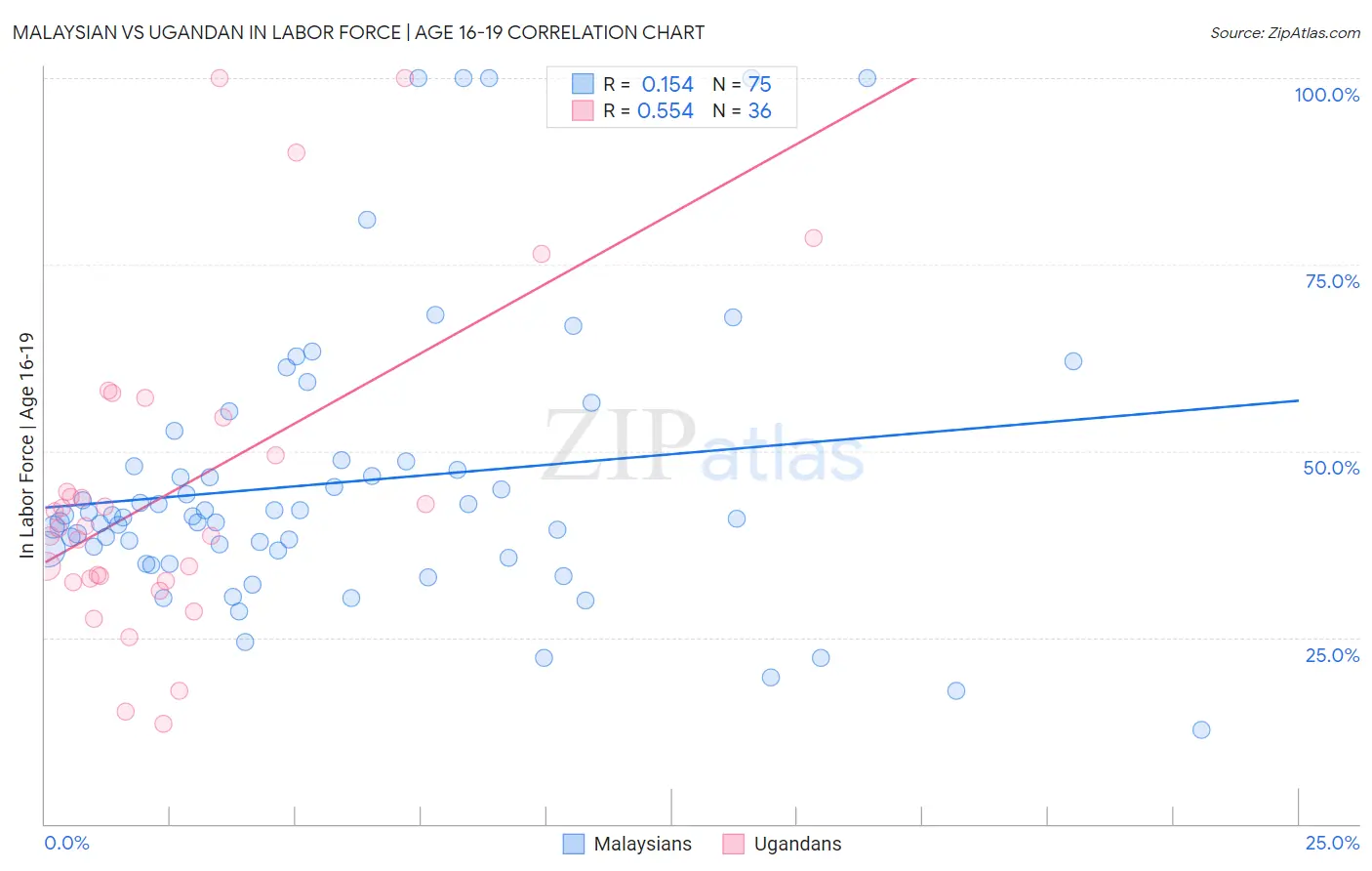 Malaysian vs Ugandan In Labor Force | Age 16-19