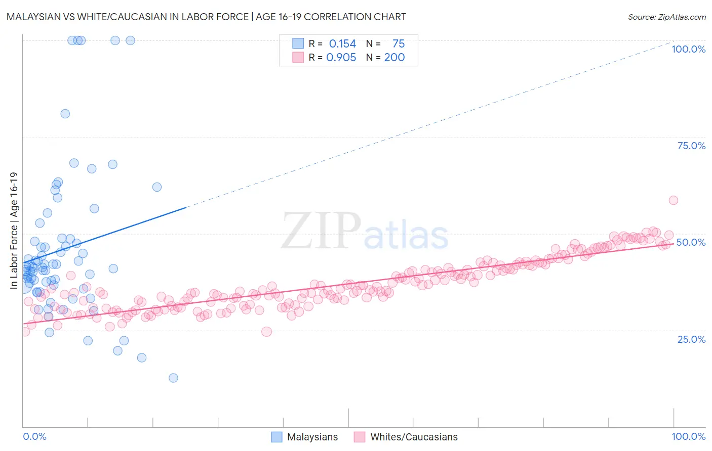 Malaysian vs White/Caucasian In Labor Force | Age 16-19