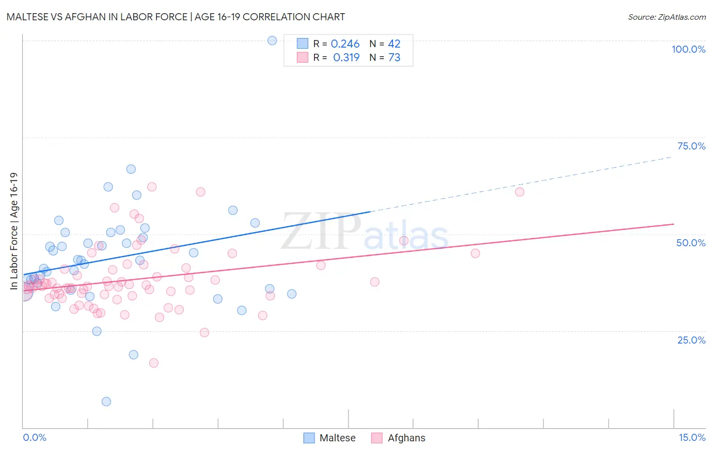 Maltese vs Afghan In Labor Force | Age 16-19