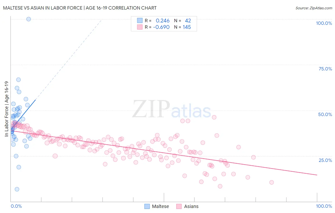 Maltese vs Asian In Labor Force | Age 16-19