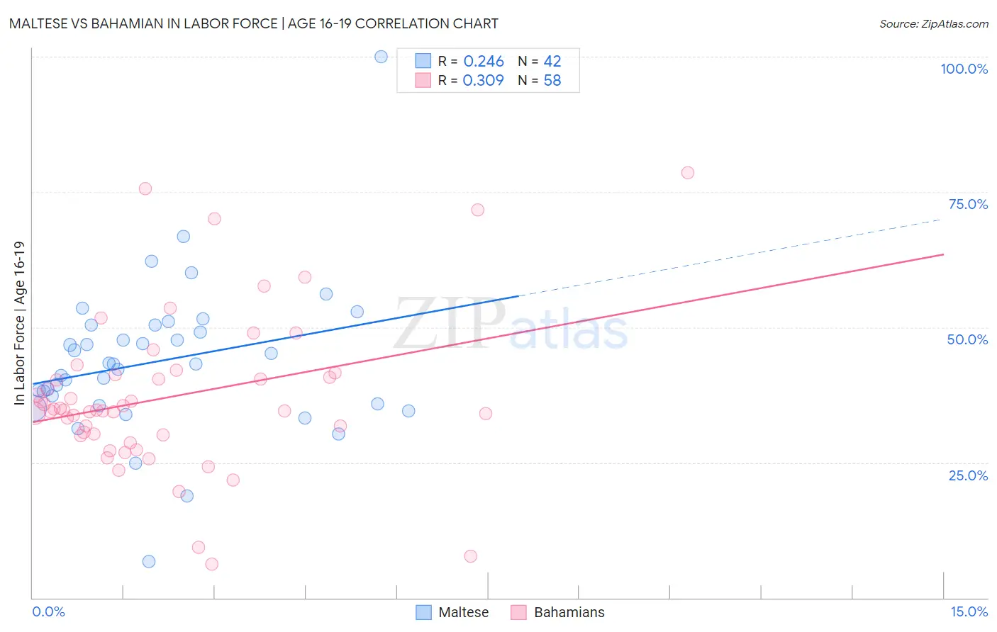 Maltese vs Bahamian In Labor Force | Age 16-19