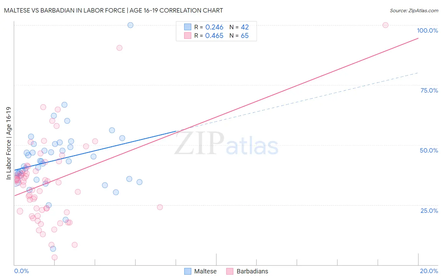 Maltese vs Barbadian In Labor Force | Age 16-19