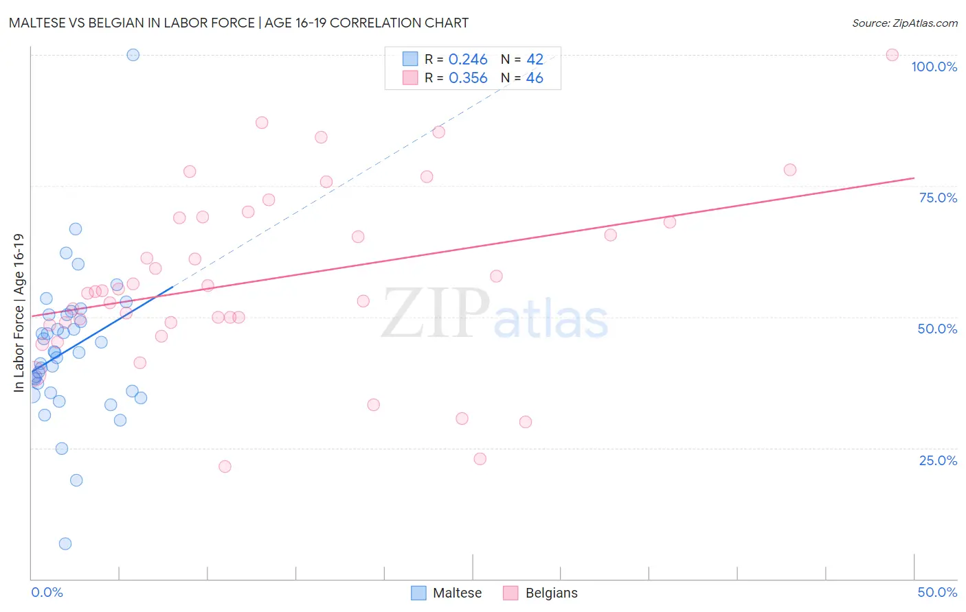 Maltese vs Belgian In Labor Force | Age 16-19