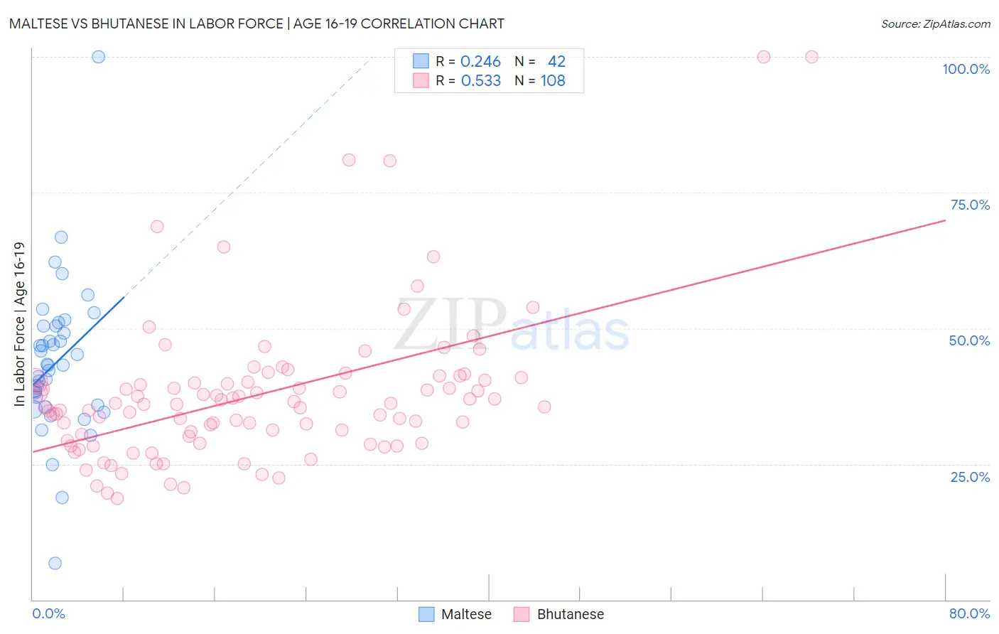 Maltese vs Bhutanese In Labor Force | Age 16-19