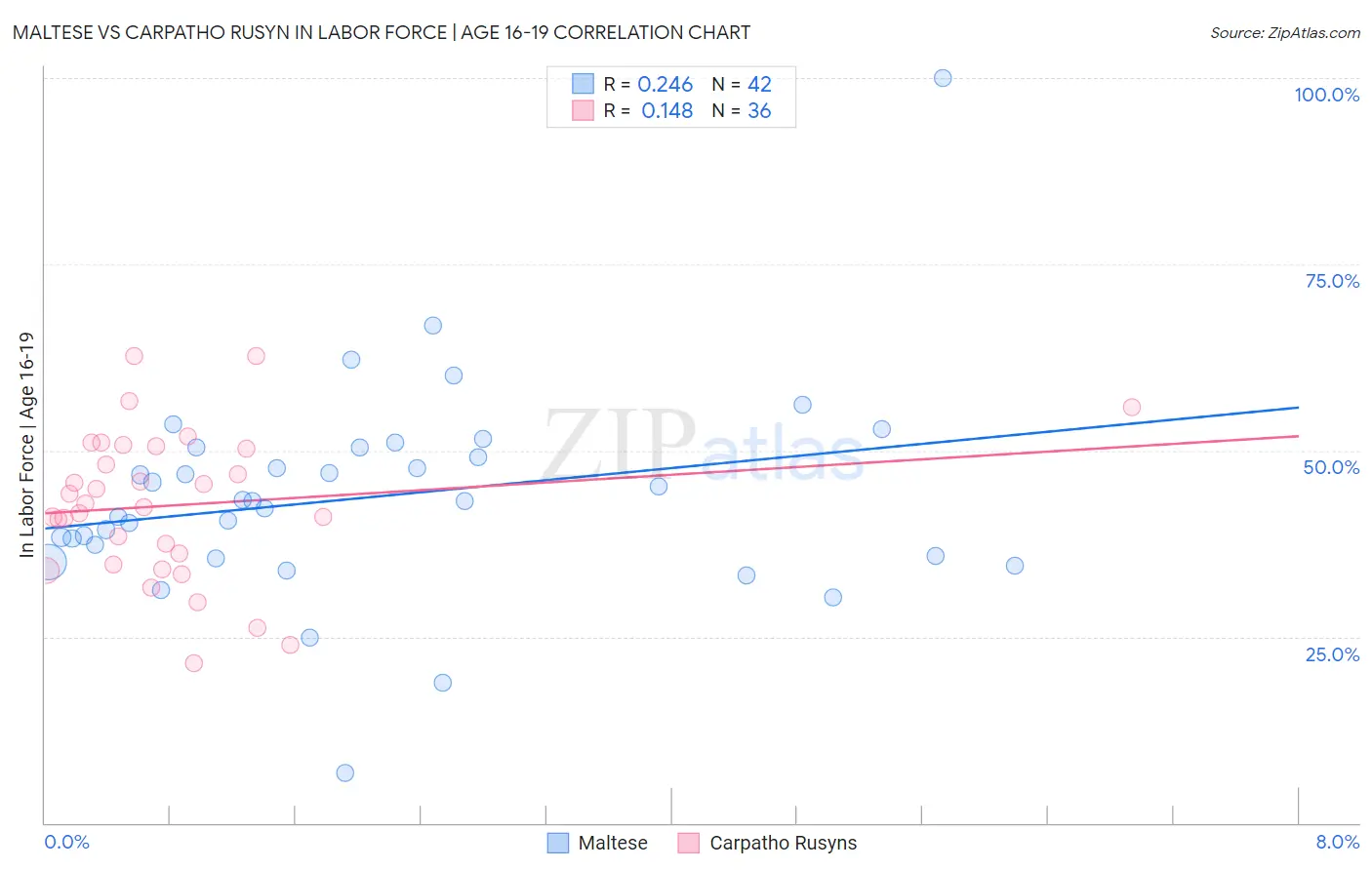 Maltese vs Carpatho Rusyn In Labor Force | Age 16-19