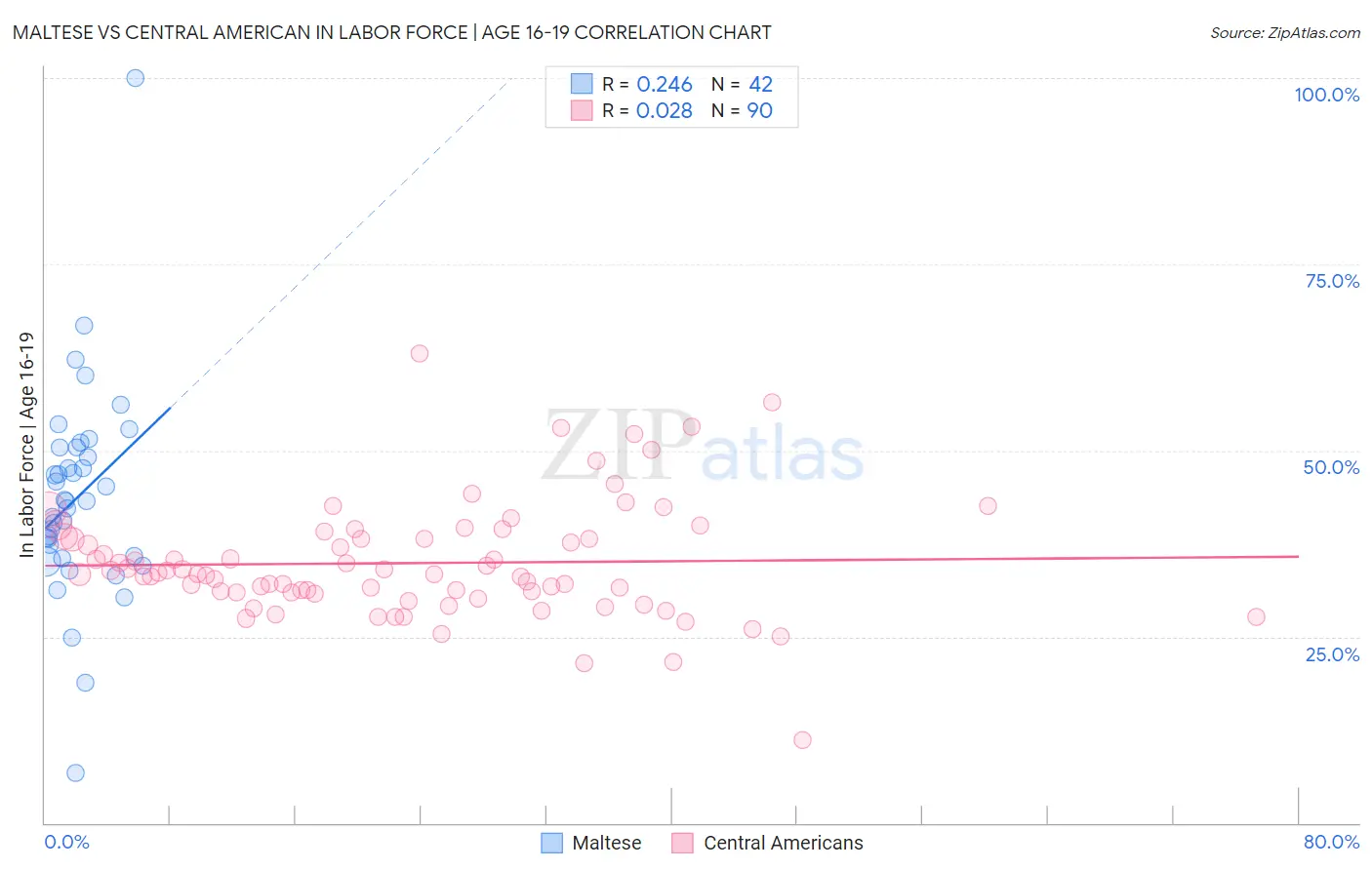 Maltese vs Central American In Labor Force | Age 16-19