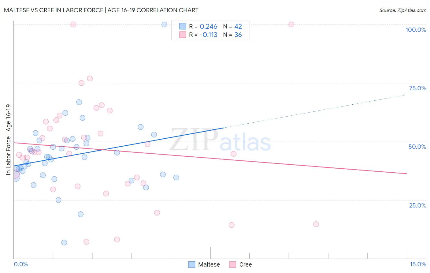 Maltese vs Cree In Labor Force | Age 16-19