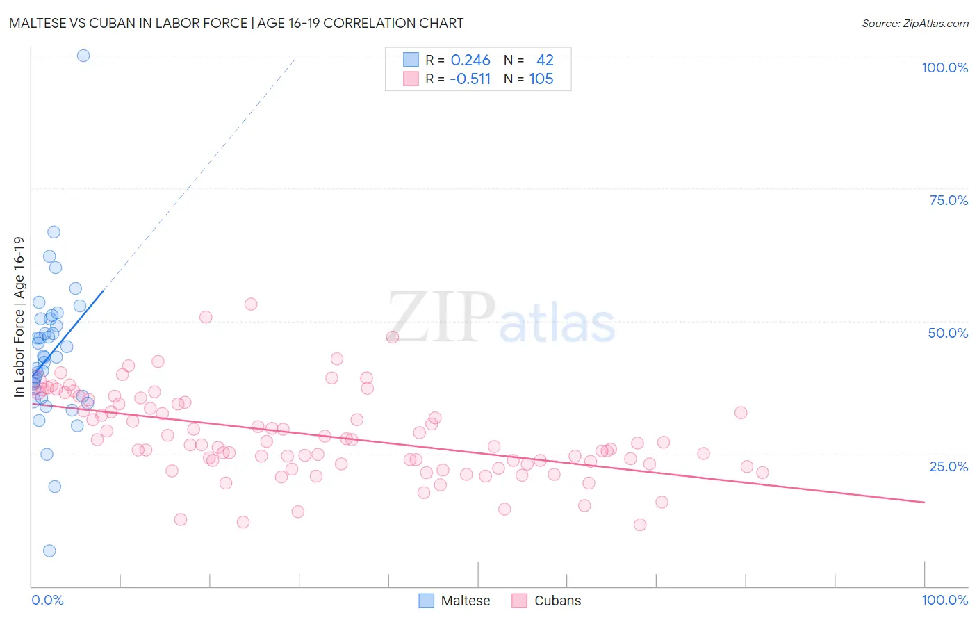 Maltese vs Cuban In Labor Force | Age 16-19