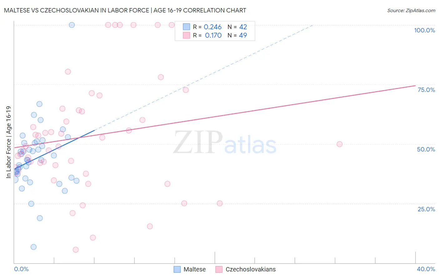 Maltese vs Czechoslovakian In Labor Force | Age 16-19