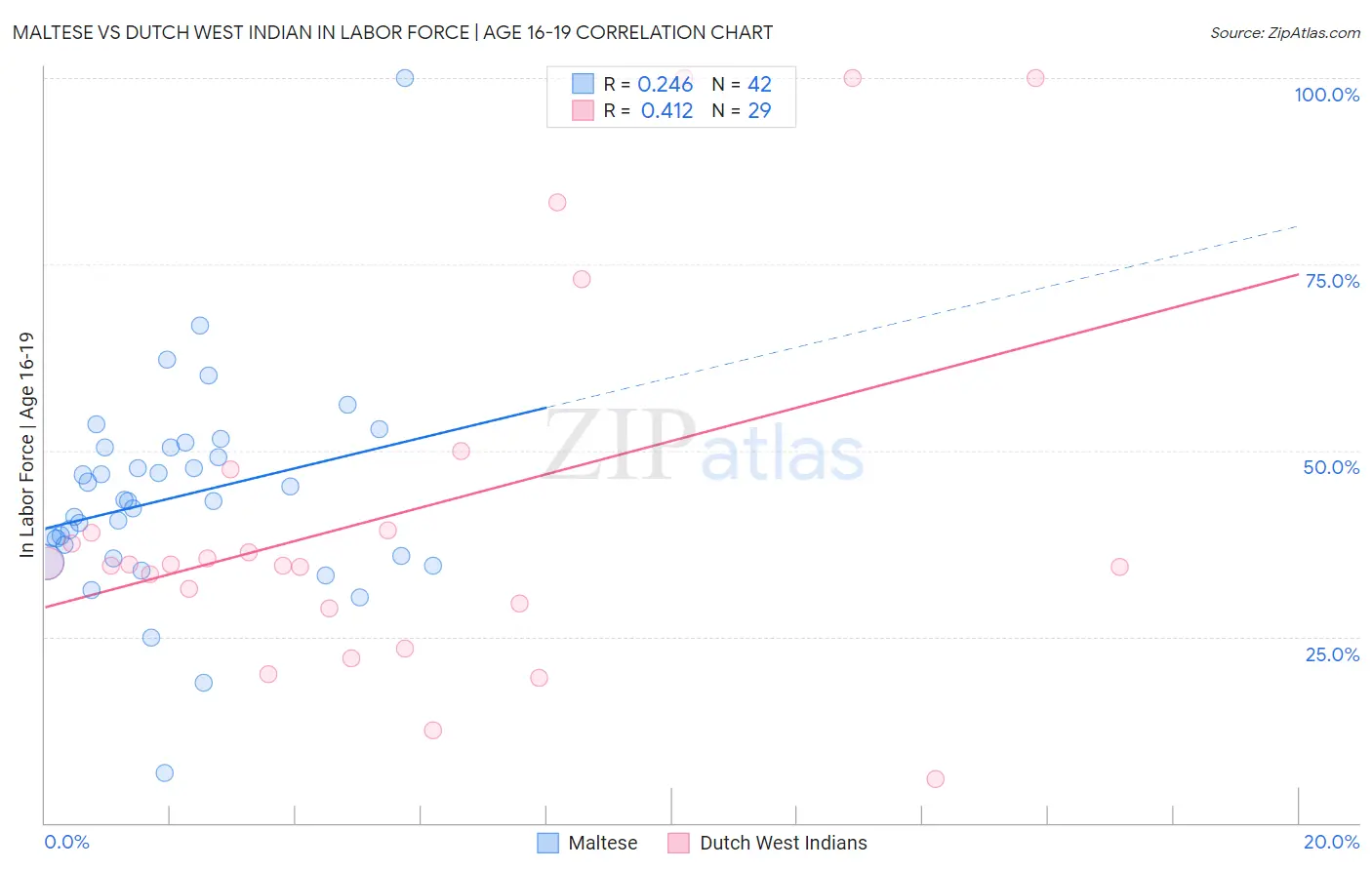 Maltese vs Dutch West Indian In Labor Force | Age 16-19
