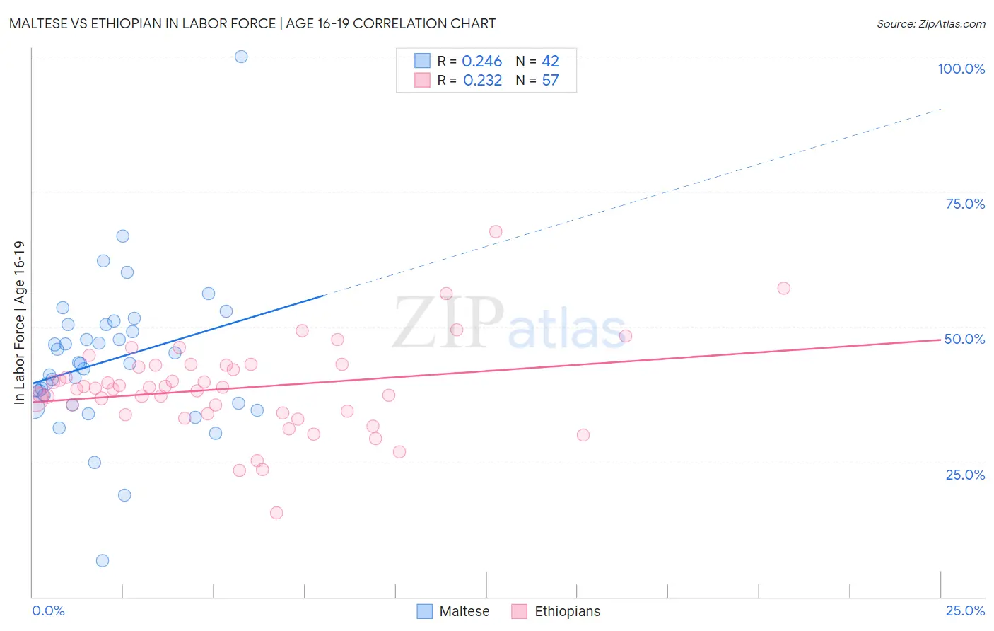Maltese vs Ethiopian In Labor Force | Age 16-19