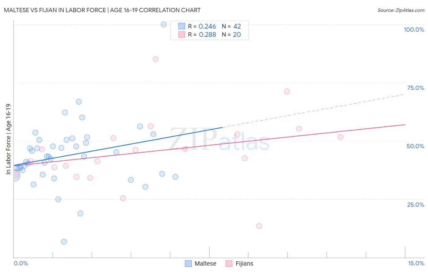 Maltese vs Fijian In Labor Force | Age 16-19