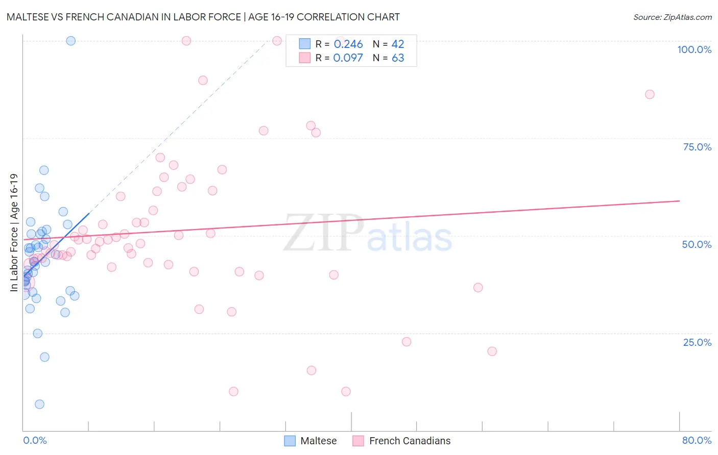Maltese vs French Canadian In Labor Force | Age 16-19