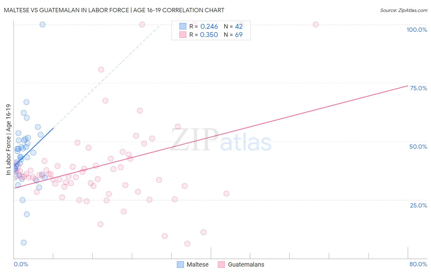 Maltese vs Guatemalan In Labor Force | Age 16-19