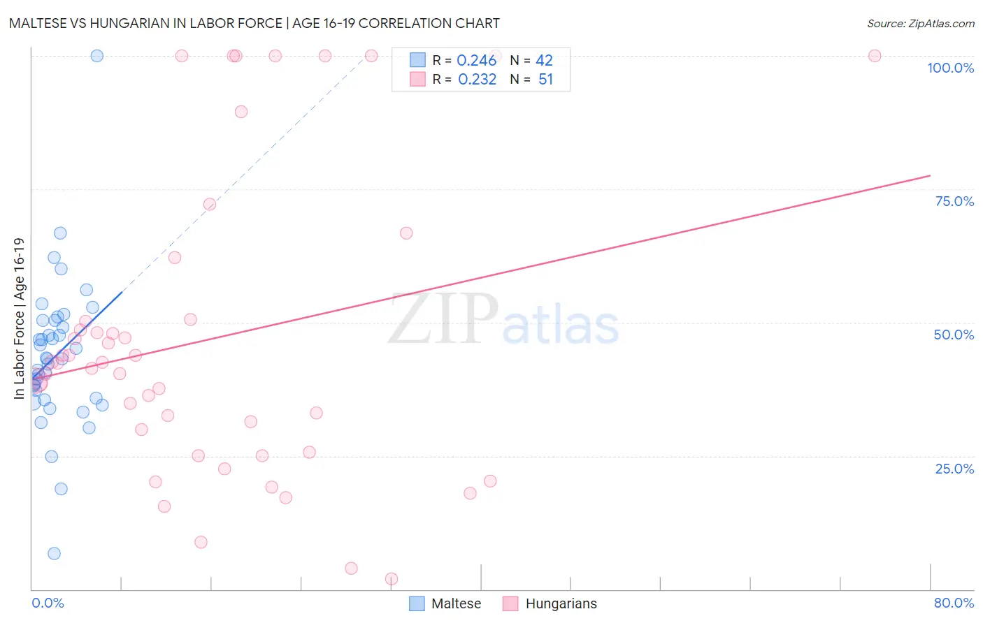 Maltese vs Hungarian In Labor Force | Age 16-19