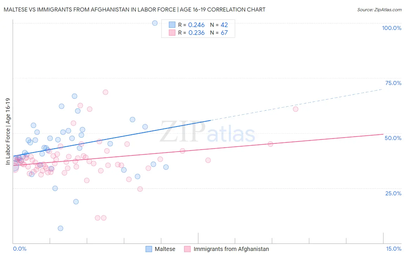 Maltese vs Immigrants from Afghanistan In Labor Force | Age 16-19