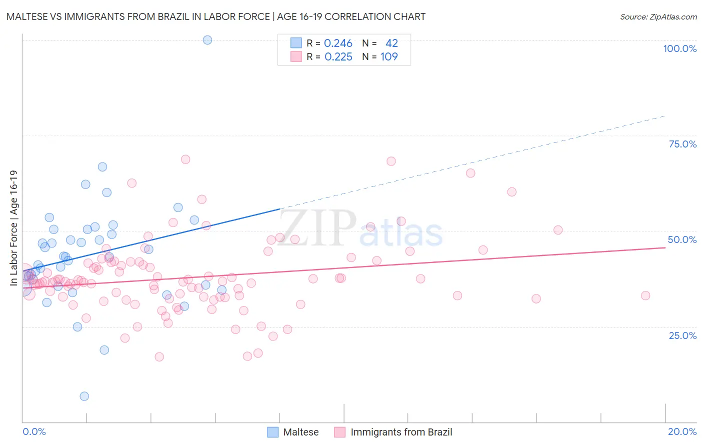 Maltese vs Immigrants from Brazil In Labor Force | Age 16-19