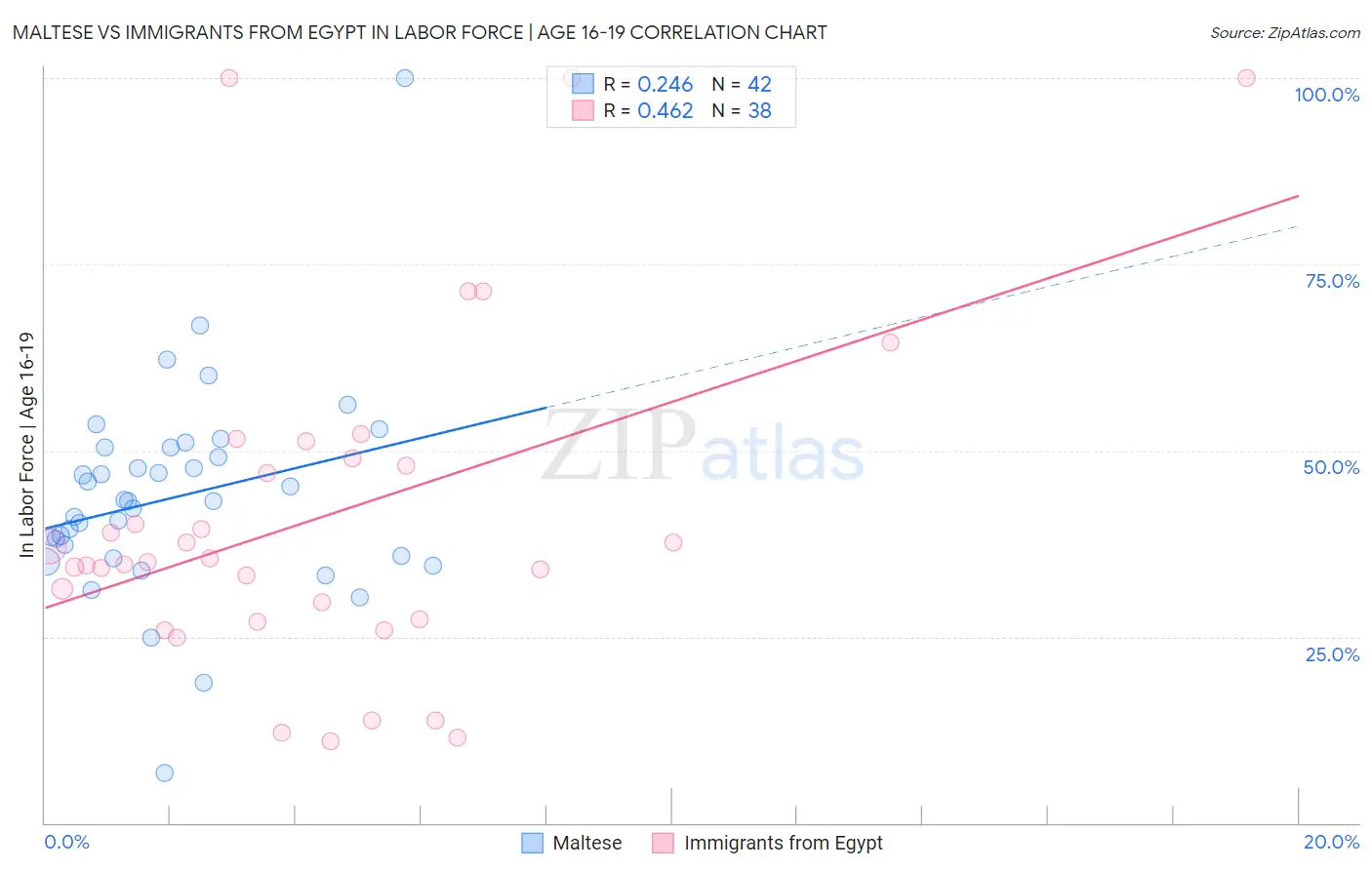 Maltese vs Immigrants from Egypt In Labor Force | Age 16-19