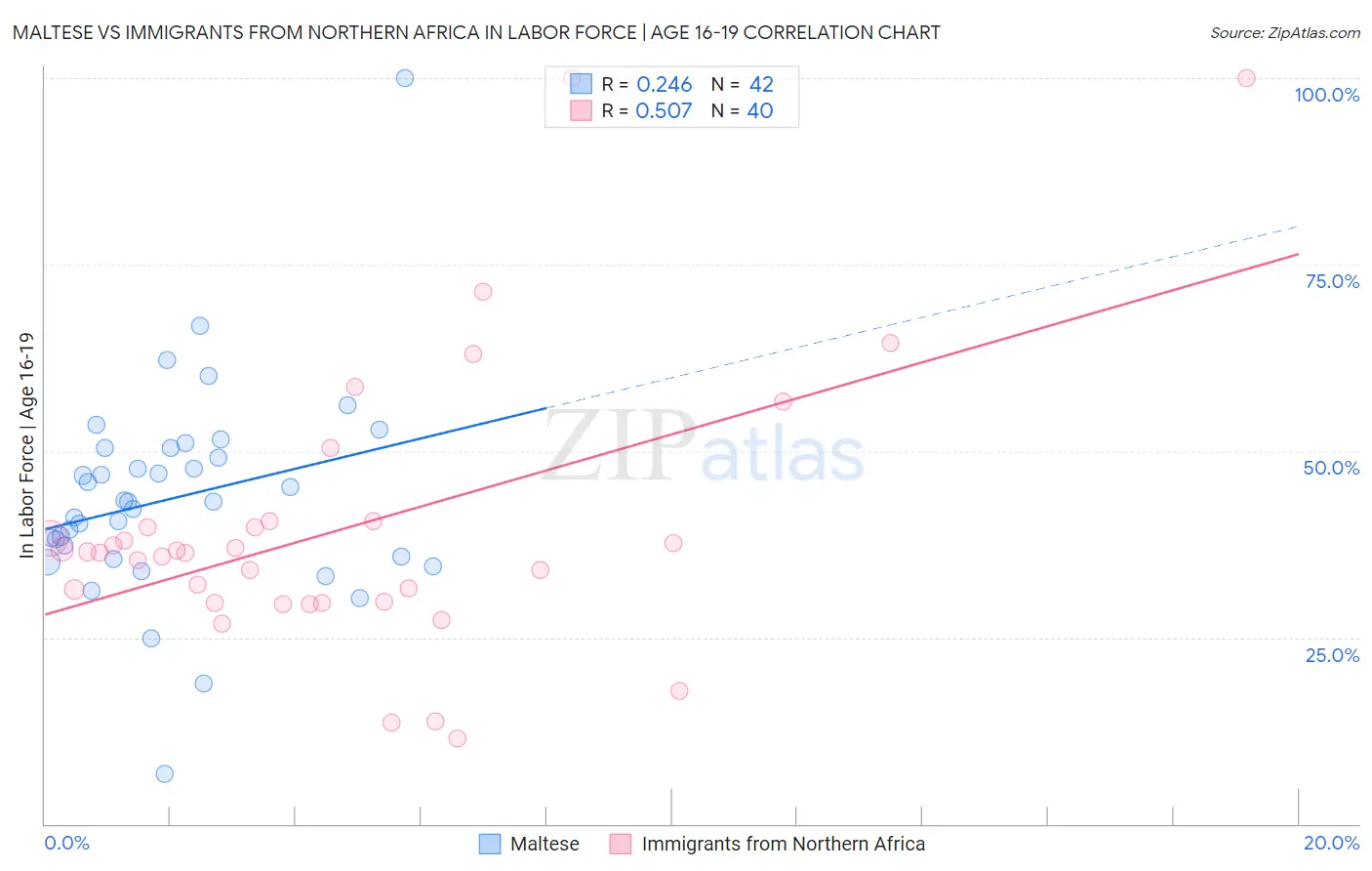 Maltese vs Immigrants from Northern Africa In Labor Force | Age 16-19