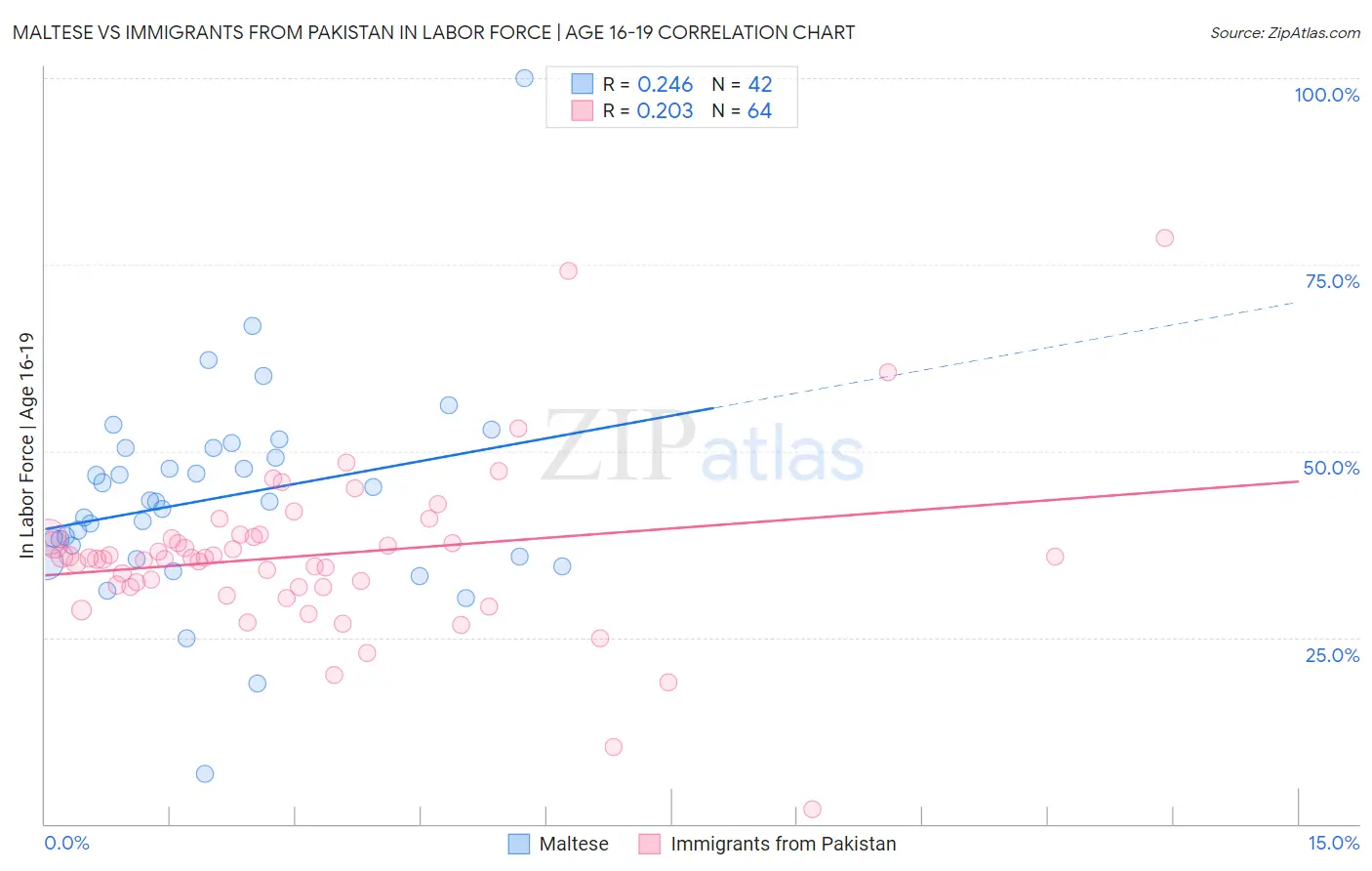 Maltese vs Immigrants from Pakistan In Labor Force | Age 16-19