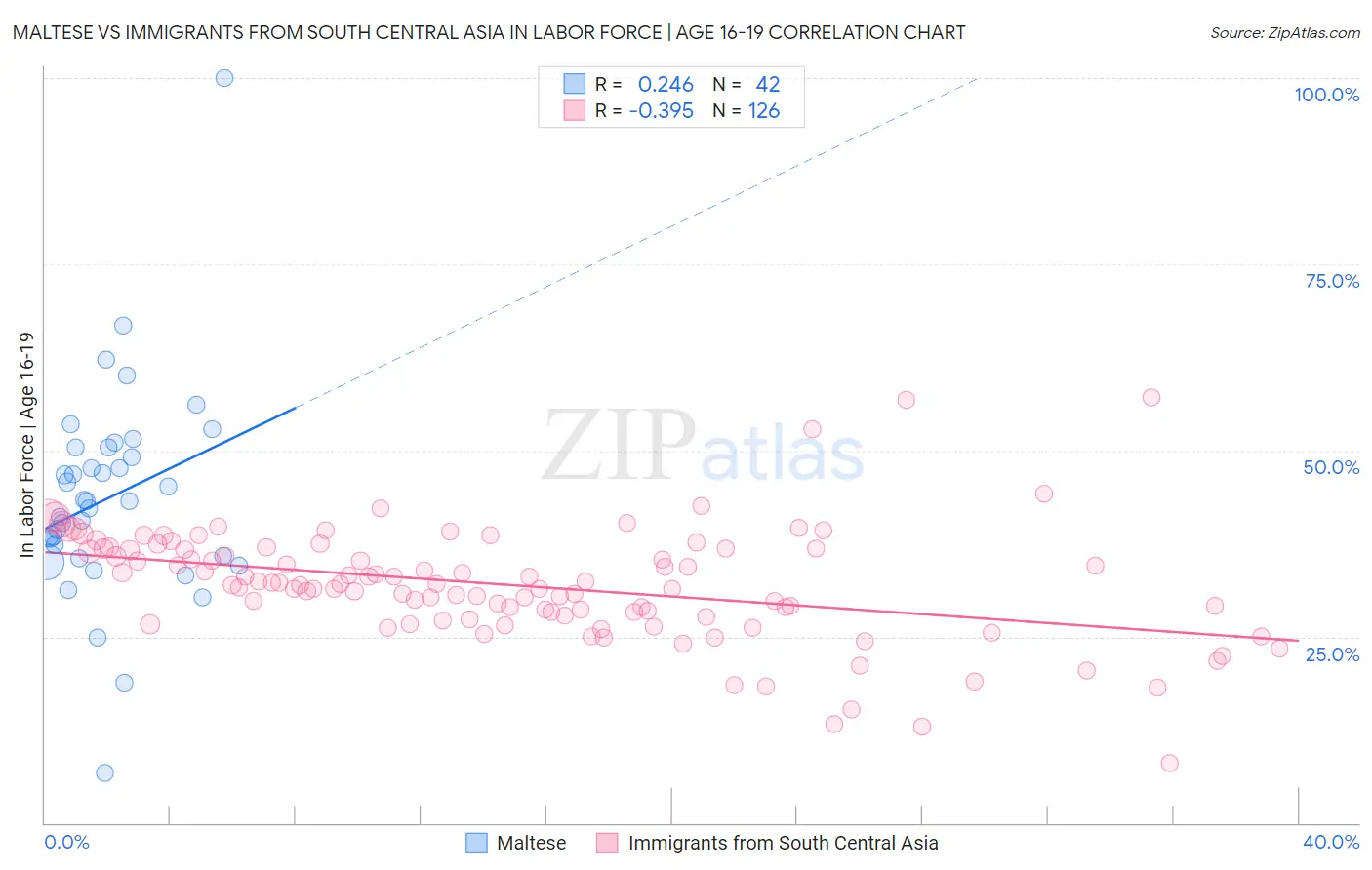 Maltese vs Immigrants from South Central Asia In Labor Force | Age 16-19