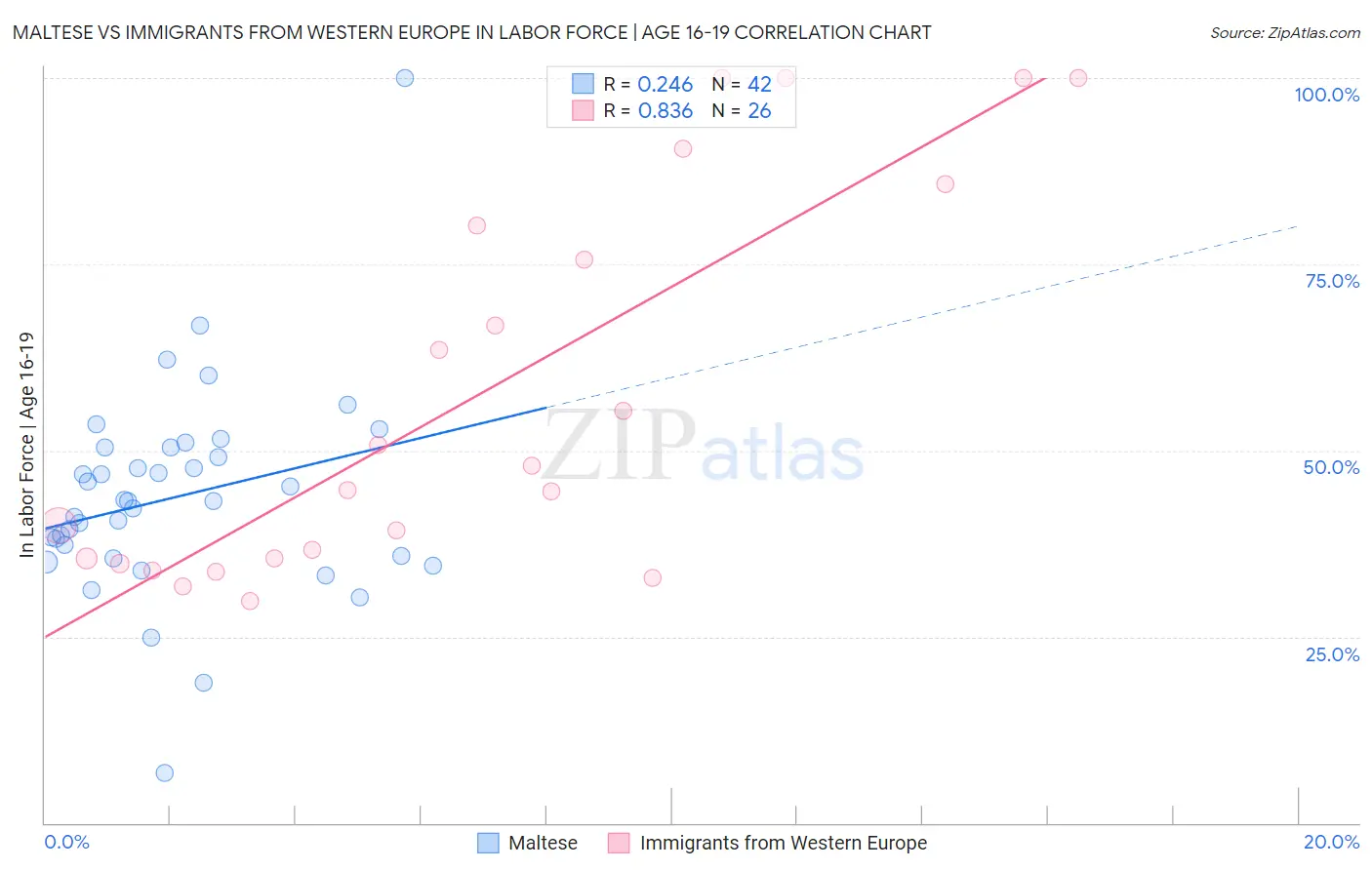 Maltese vs Immigrants from Western Europe In Labor Force | Age 16-19