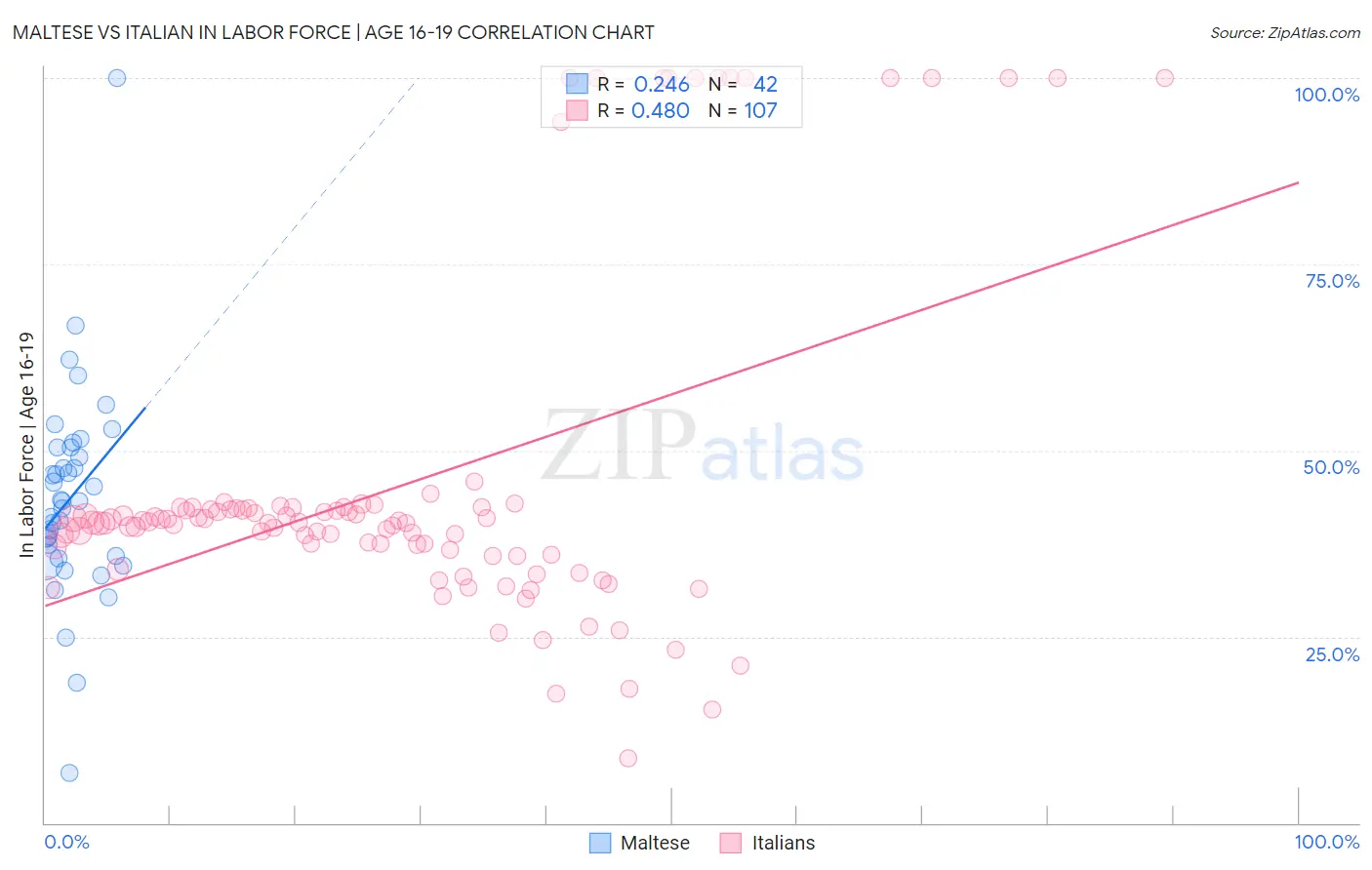 Maltese vs Italian In Labor Force | Age 16-19