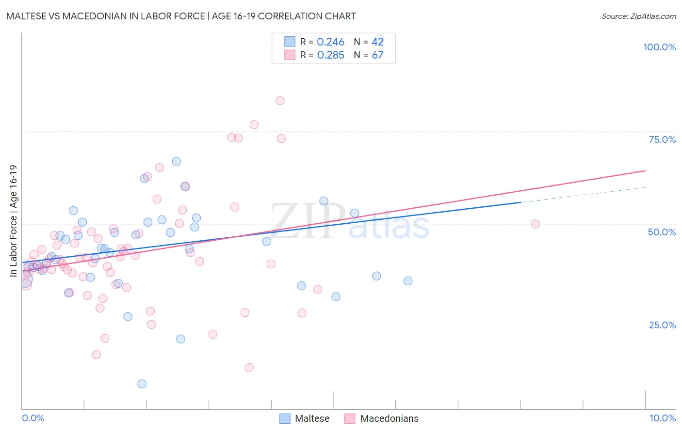 Maltese vs Macedonian In Labor Force | Age 16-19