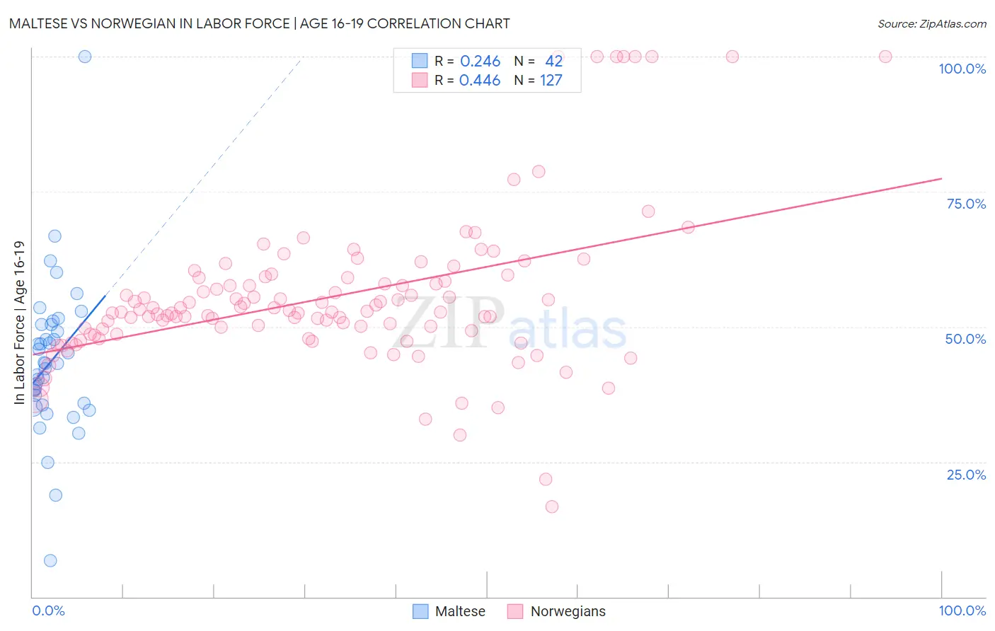 Maltese vs Norwegian In Labor Force | Age 16-19