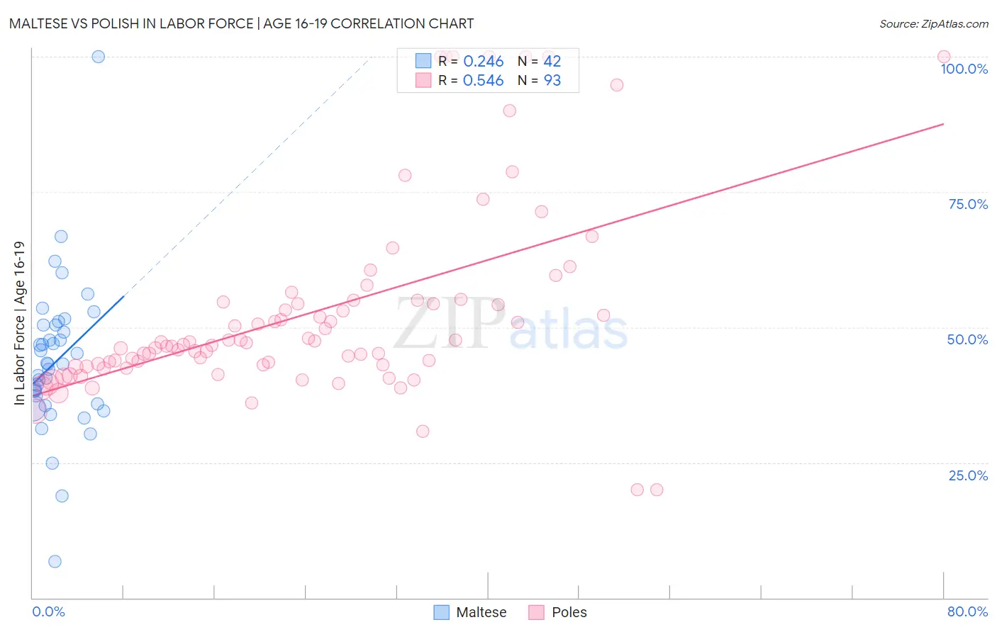Maltese vs Polish In Labor Force | Age 16-19