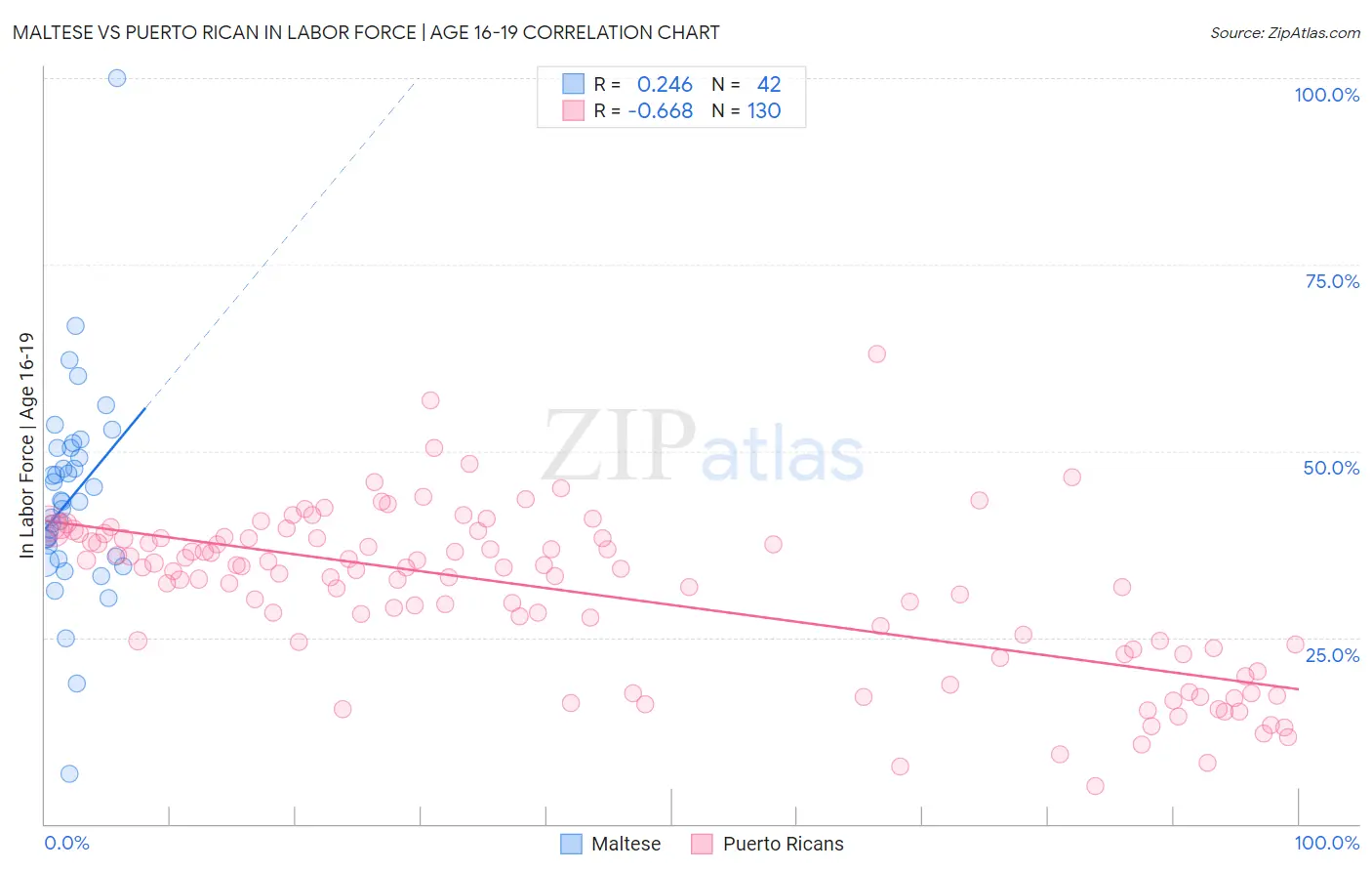 Maltese vs Puerto Rican In Labor Force | Age 16-19