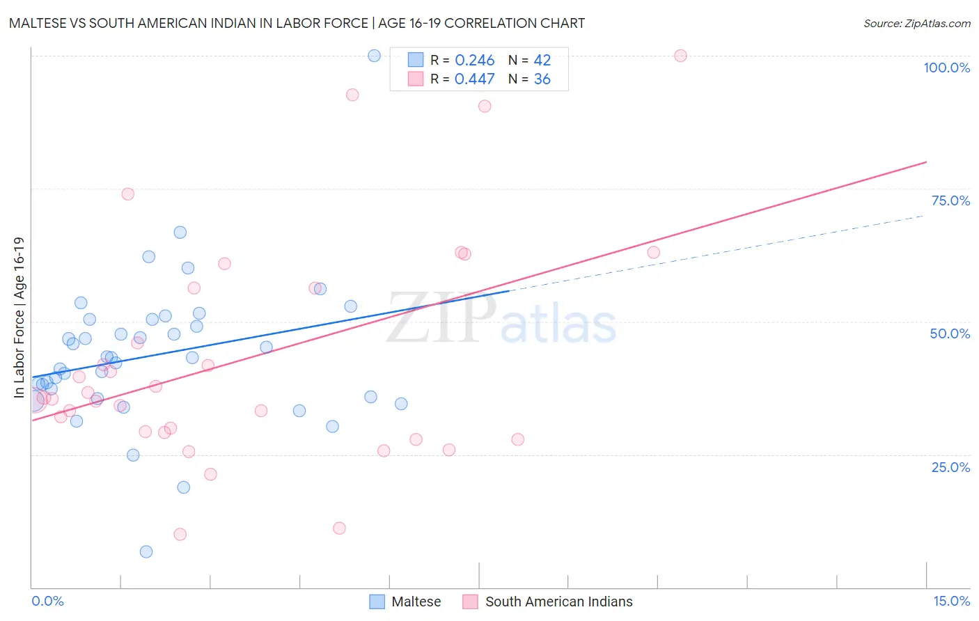 Maltese vs South American Indian In Labor Force | Age 16-19