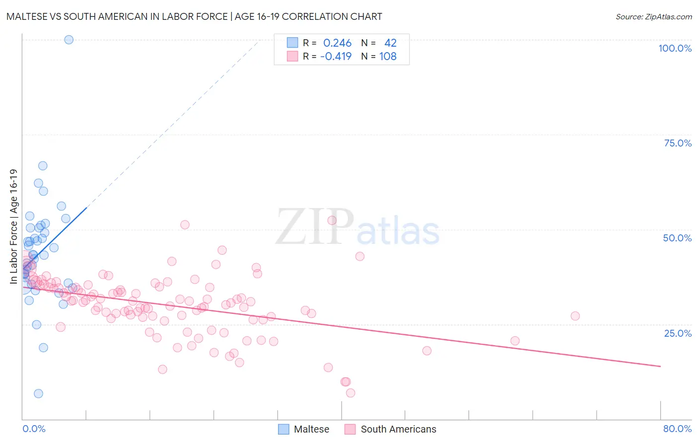 Maltese vs South American In Labor Force | Age 16-19