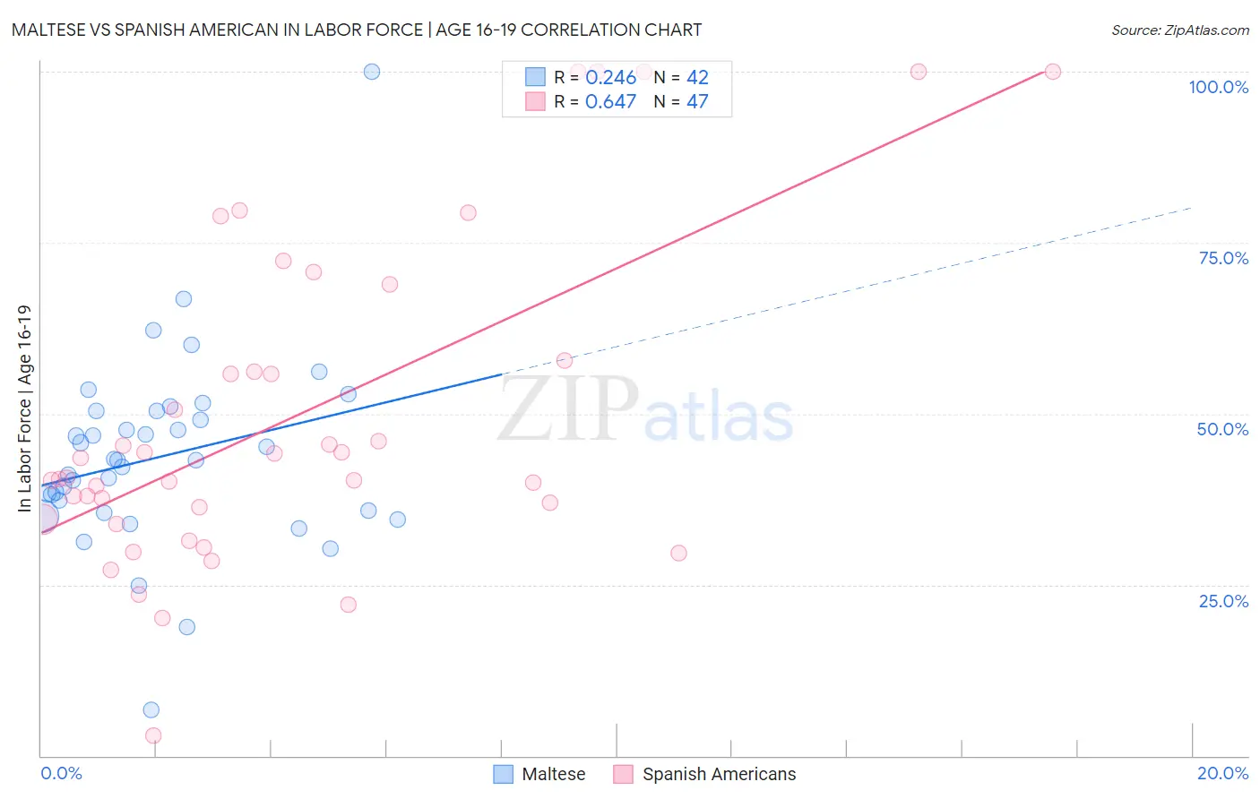 Maltese vs Spanish American In Labor Force | Age 16-19
