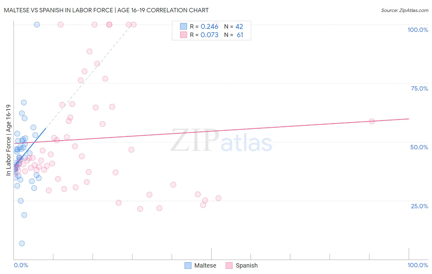 Maltese vs Spanish In Labor Force | Age 16-19