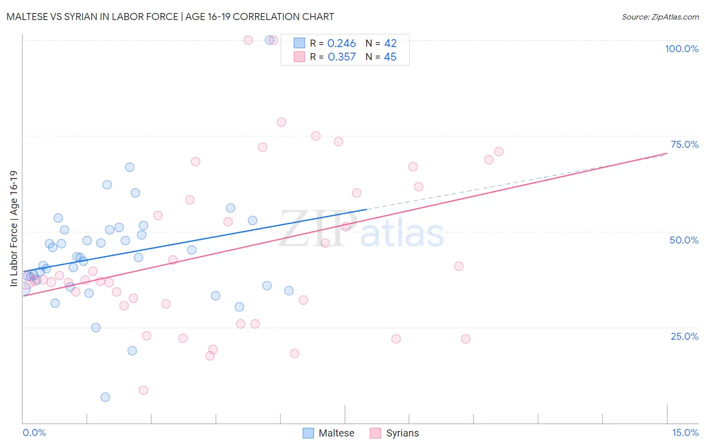 Maltese vs Syrian In Labor Force | Age 16-19