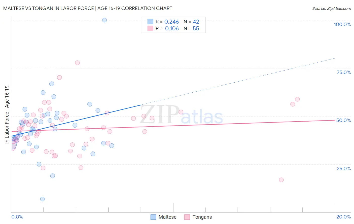 Maltese vs Tongan In Labor Force | Age 16-19