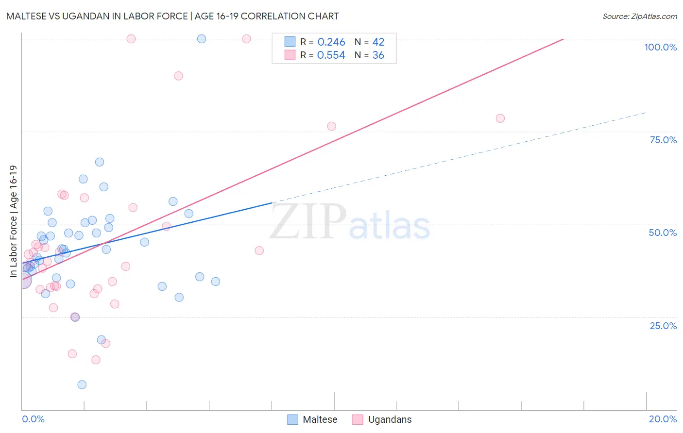 Maltese vs Ugandan In Labor Force | Age 16-19