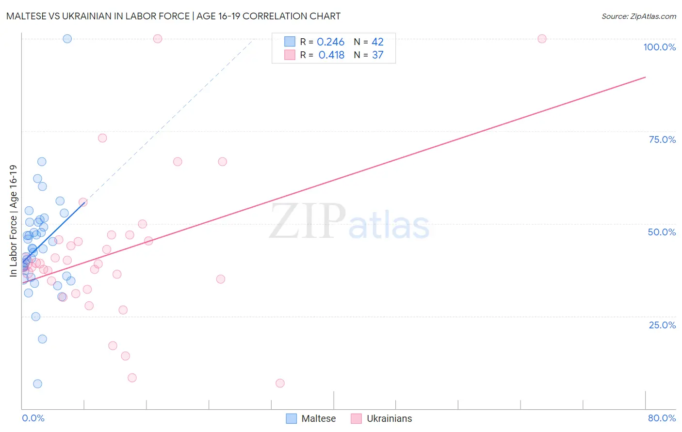 Maltese vs Ukrainian In Labor Force | Age 16-19