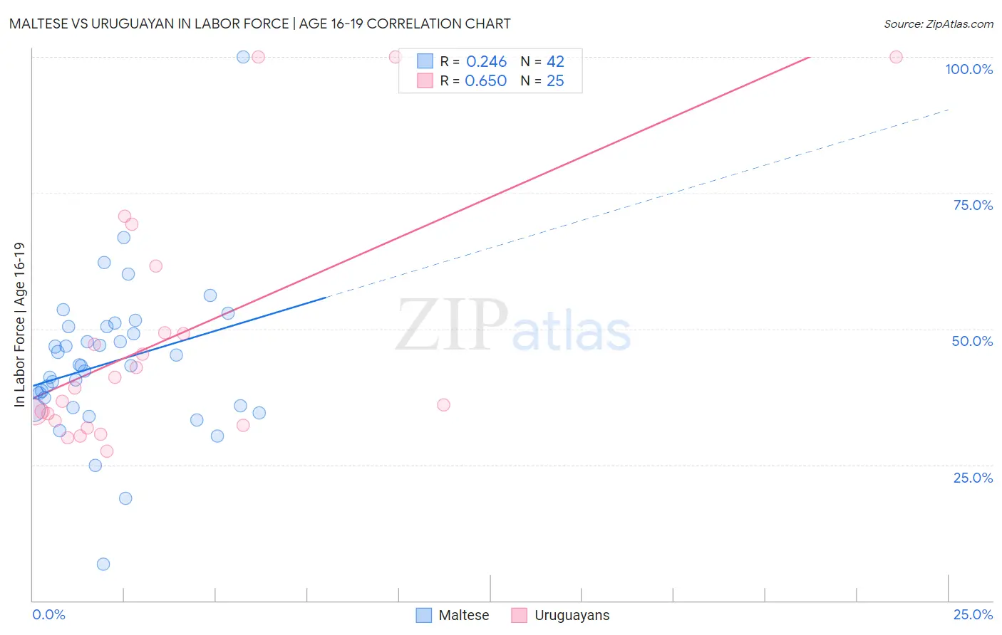 Maltese vs Uruguayan In Labor Force | Age 16-19