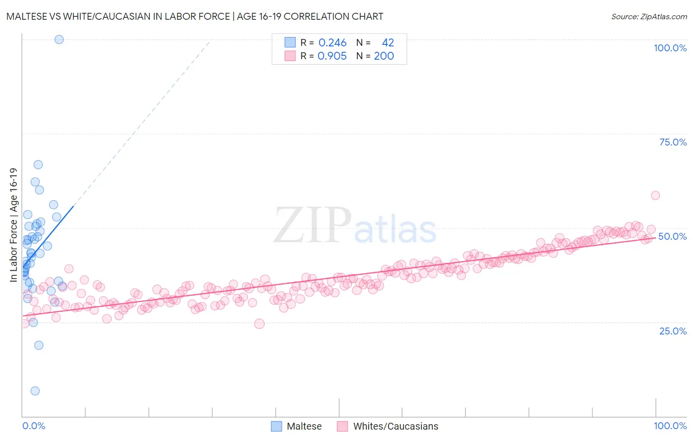 Maltese vs White/Caucasian In Labor Force | Age 16-19