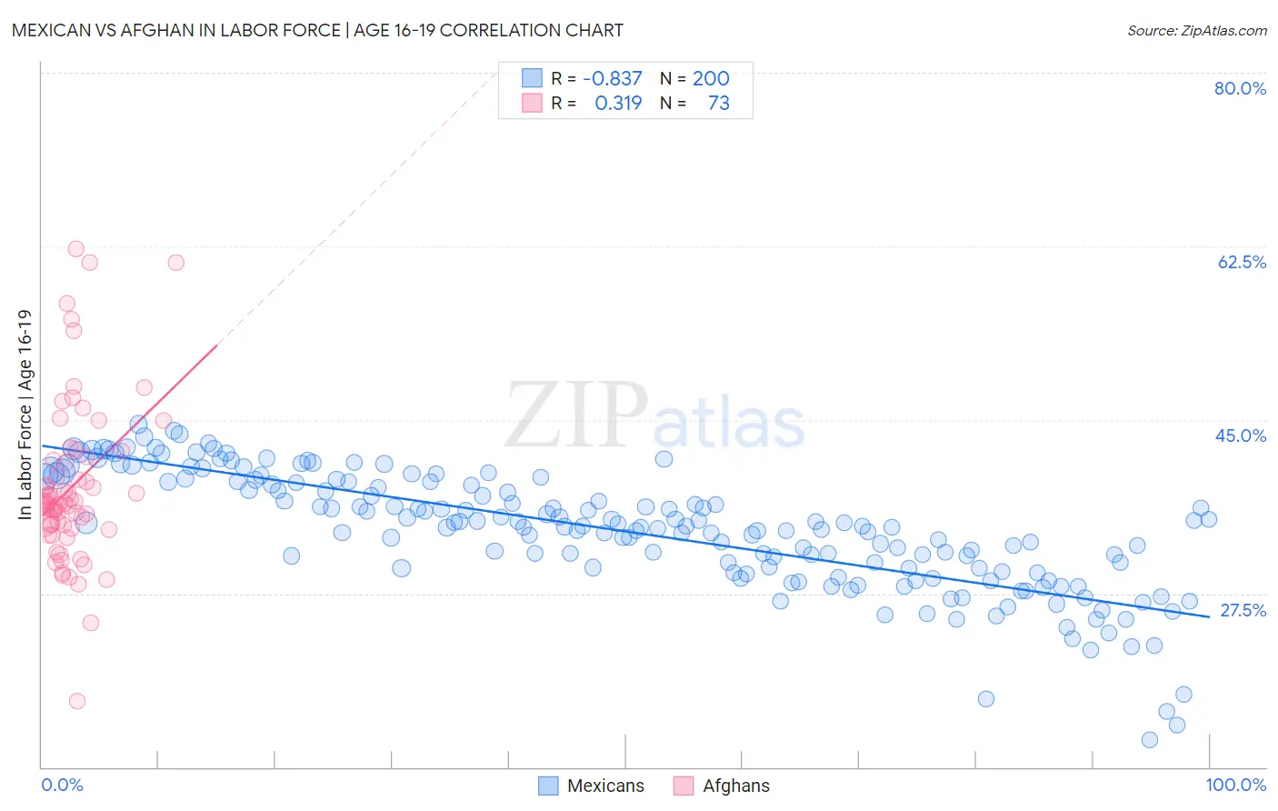 Mexican vs Afghan In Labor Force | Age 16-19