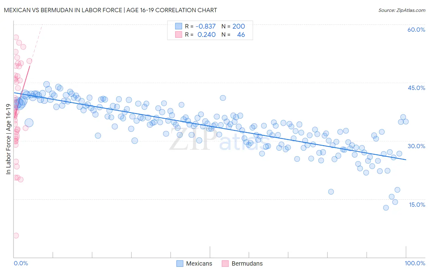 Mexican vs Bermudan In Labor Force | Age 16-19