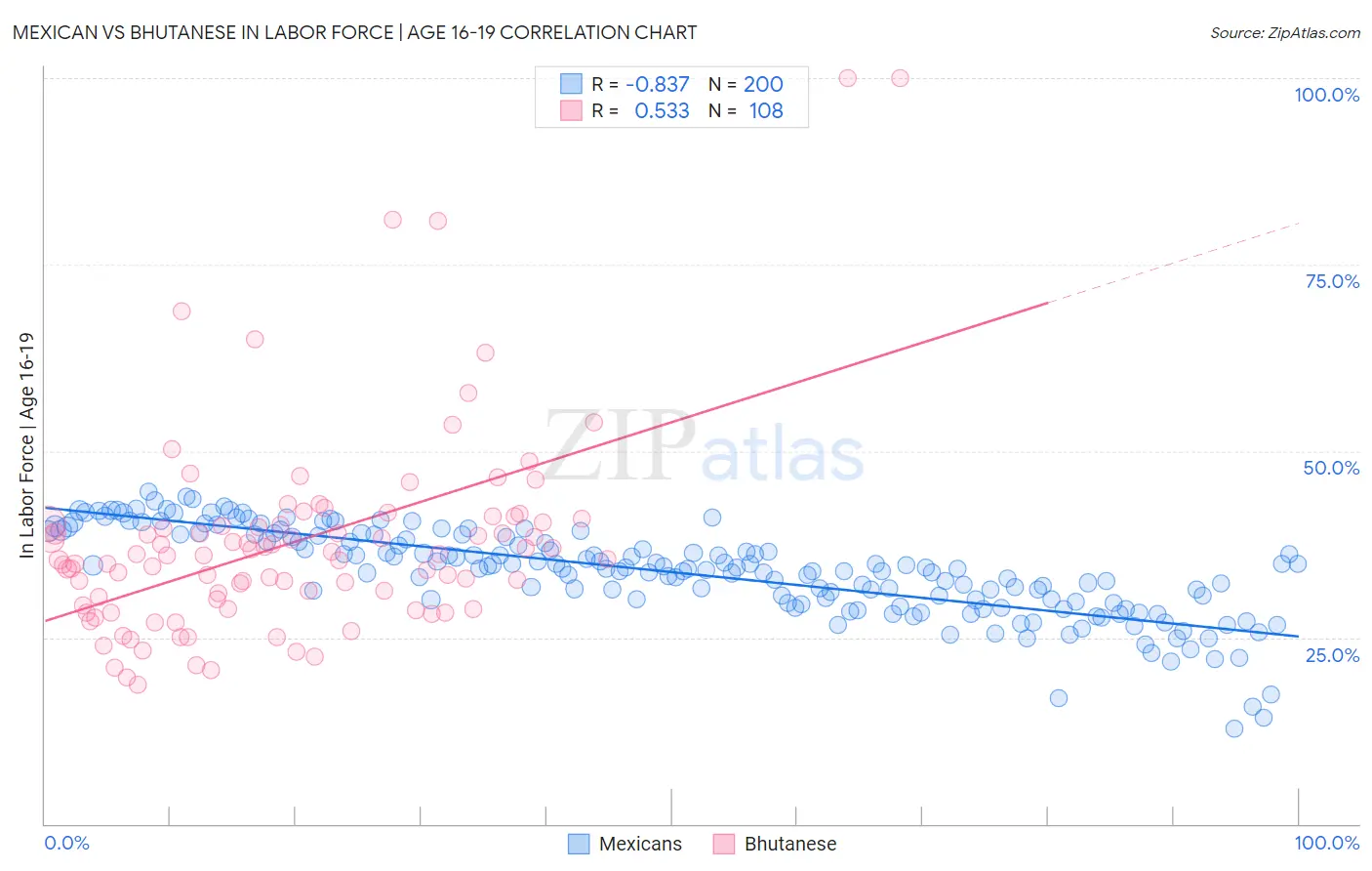 Mexican vs Bhutanese In Labor Force | Age 16-19