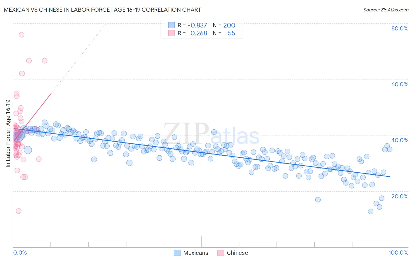 Mexican vs Chinese In Labor Force | Age 16-19
