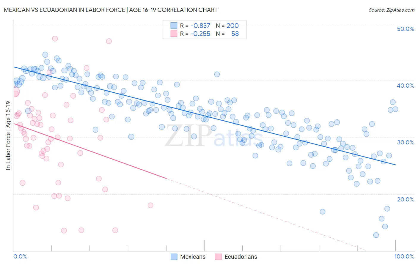 Mexican vs Ecuadorian In Labor Force | Age 16-19