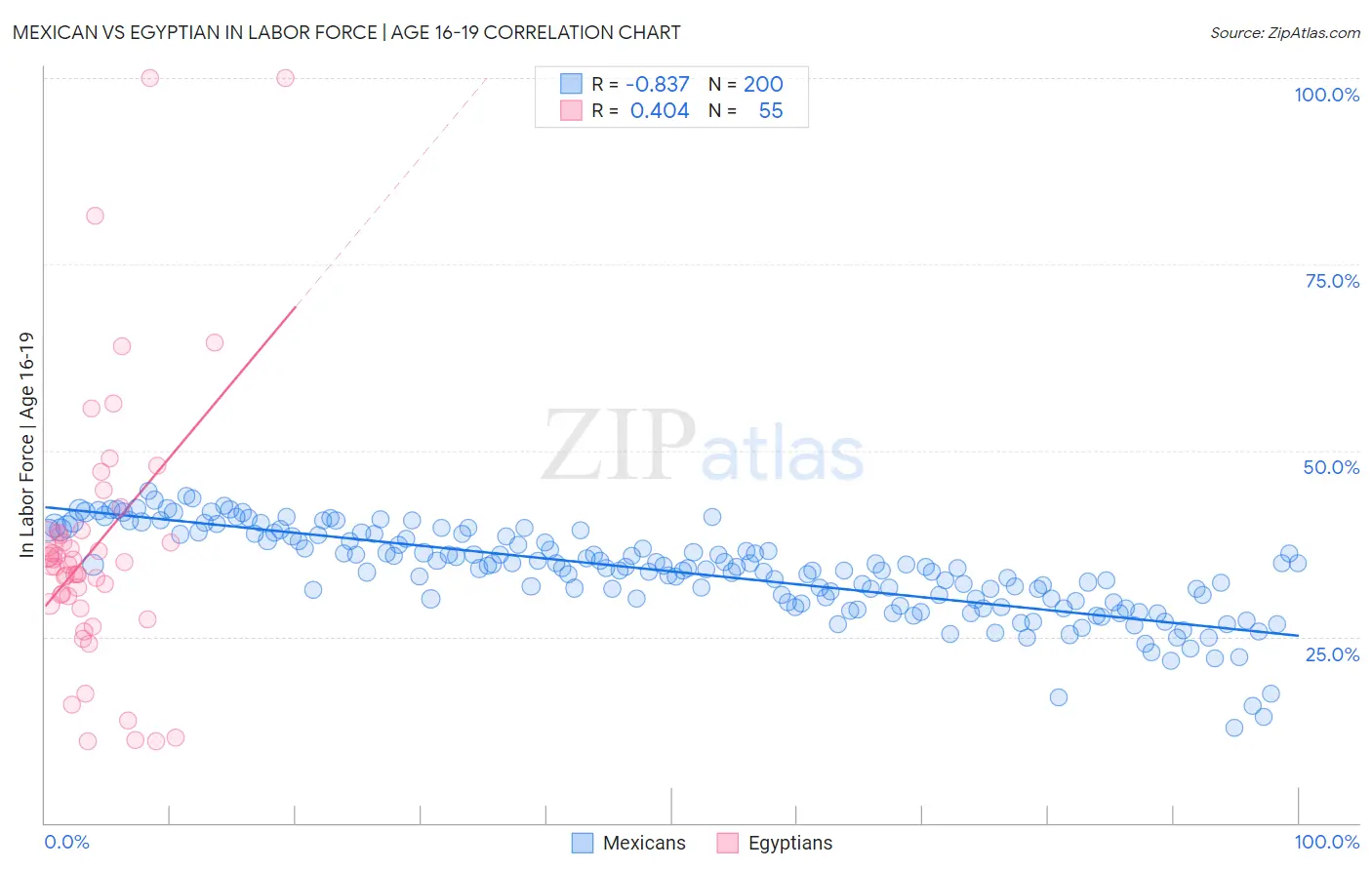 Mexican vs Egyptian In Labor Force | Age 16-19